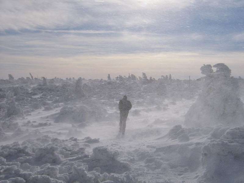 2 - Andrzej Orkisz ,Filmowy Obcy (z prawej strony) łypie okiem na człowieka - Babia Góra