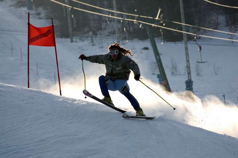 3  - Michał Cypcer tytuł pracy Zwierzak