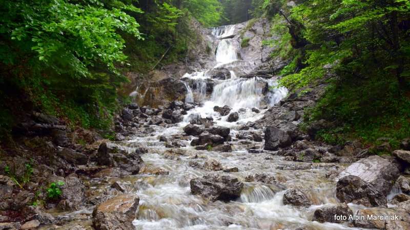 Sarni Wodospad w Dolinie Białego 1