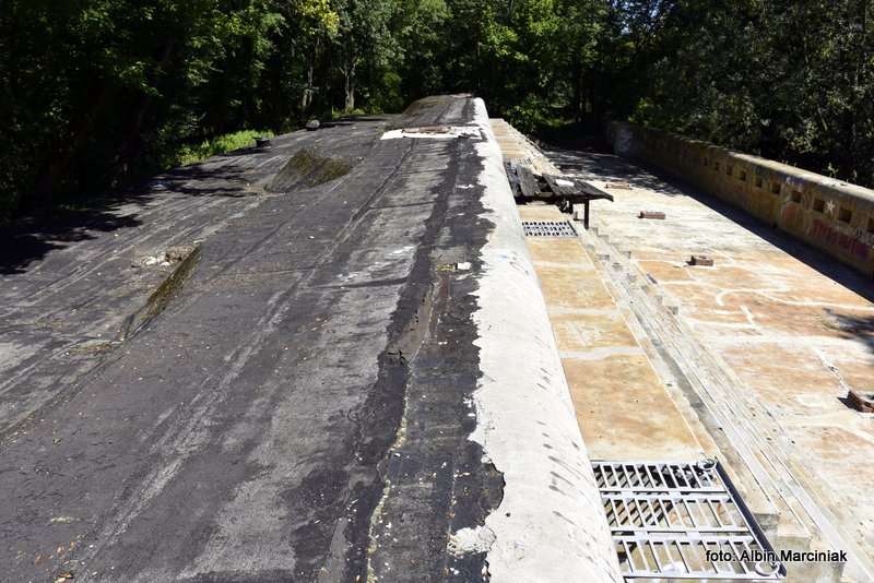 Fort pancerny 49a Dłubnia Twierdza Kraków 13