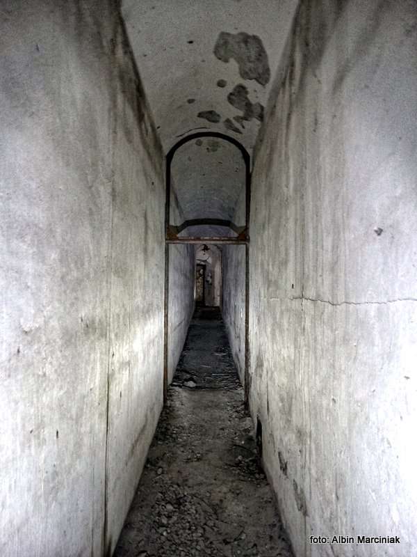 Fort pancerny 49a Dłubnia Twierdza Kraków 8