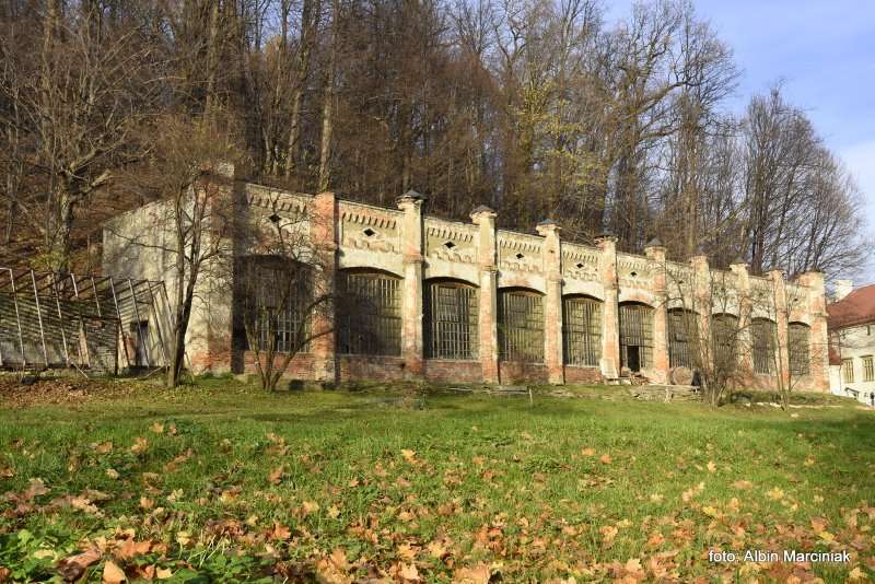 Zamek w Suchej Beskidzkiej 13