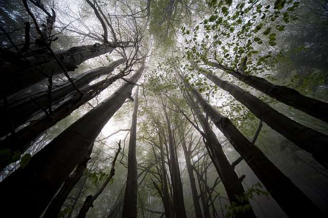 foto 01 andrzej wojnar