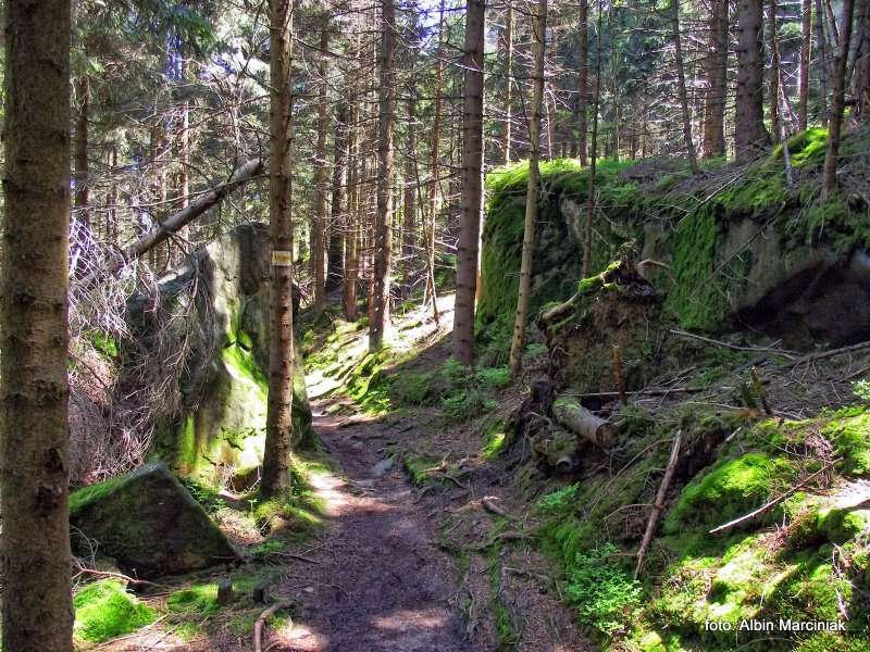 Białe Skały Góry Stołowe 1