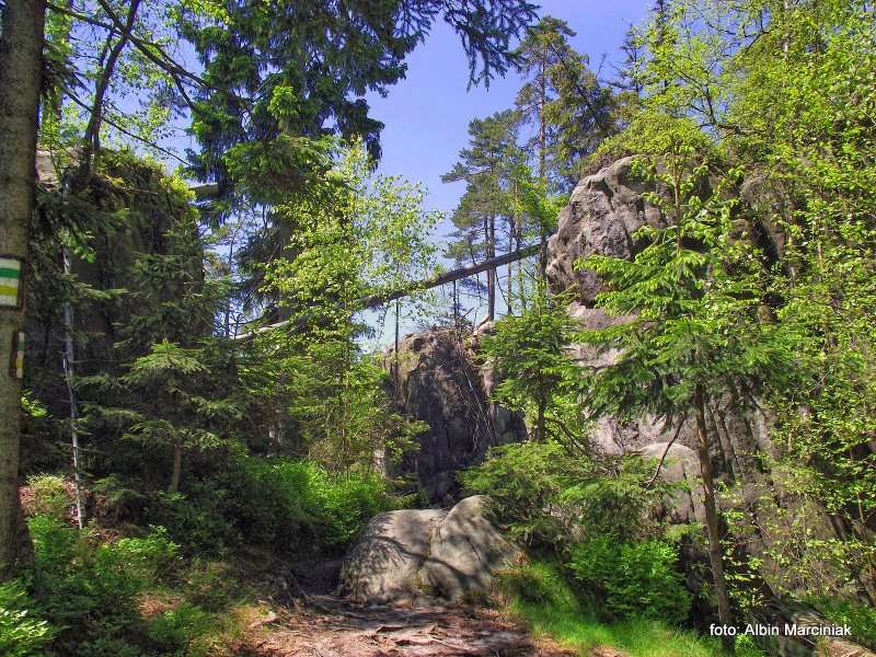 Białe Skały Góry Stołowe 15