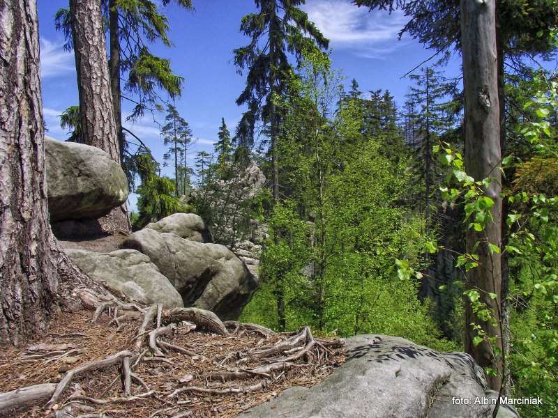 Białe Skały Góry Stołowe 16