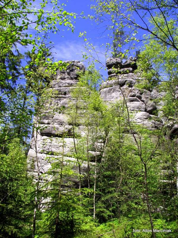 Białe Skały Góry Stołowe 19