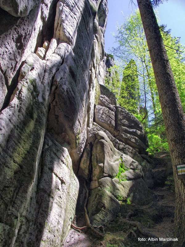 Białe Skały Góry Stołowe 5