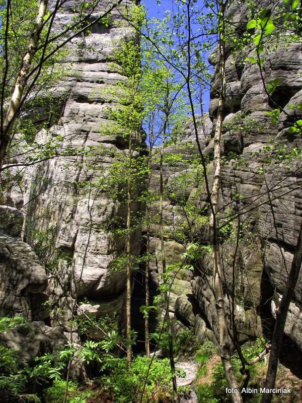 Białe Skały Góry Stołowe 7