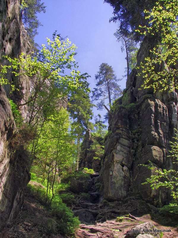 Białe Skały Góry Stołowe 8