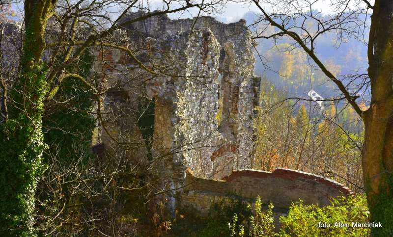 Zamek Tenczyn w Rudnie 11