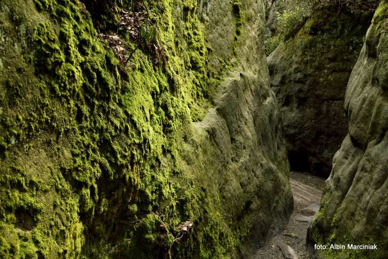 Szczeliniec Wielki 19