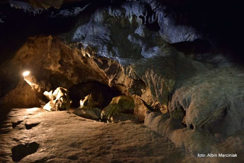 Jaskinia Radochowska 19