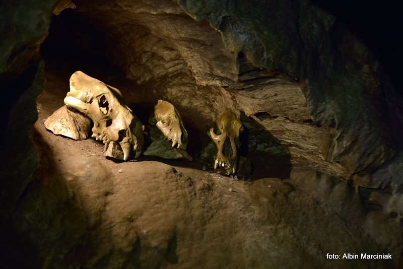 Jaskinia Radochowska 20