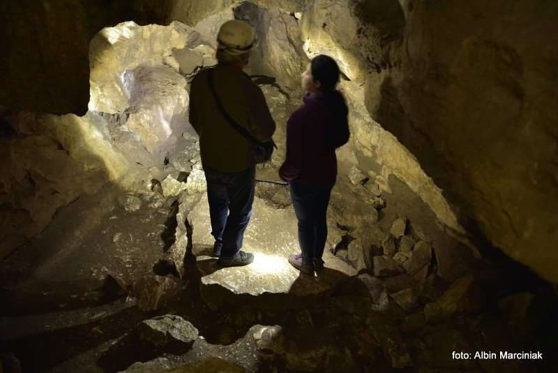 Jaskinia Radochowska 5