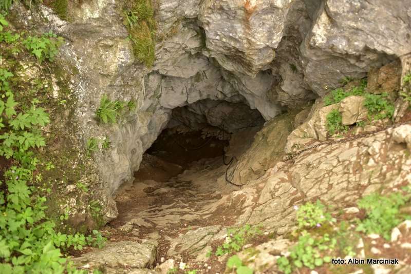 Smocza Jama w Wąwozie Kraków 11