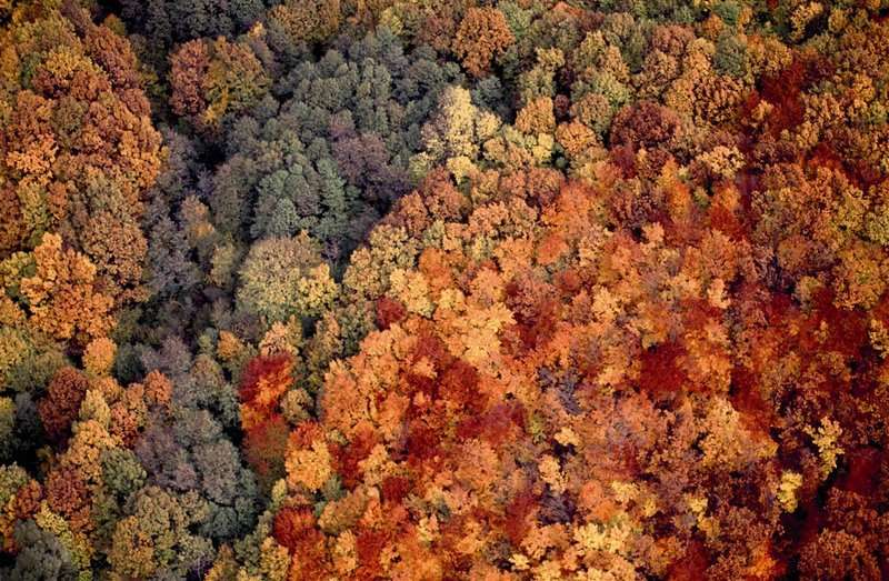 6 foto Ivo Pervan CNTB