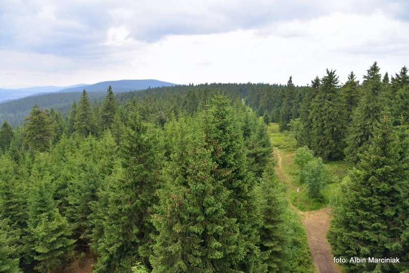 Orlica szlak szczyt wieża 7