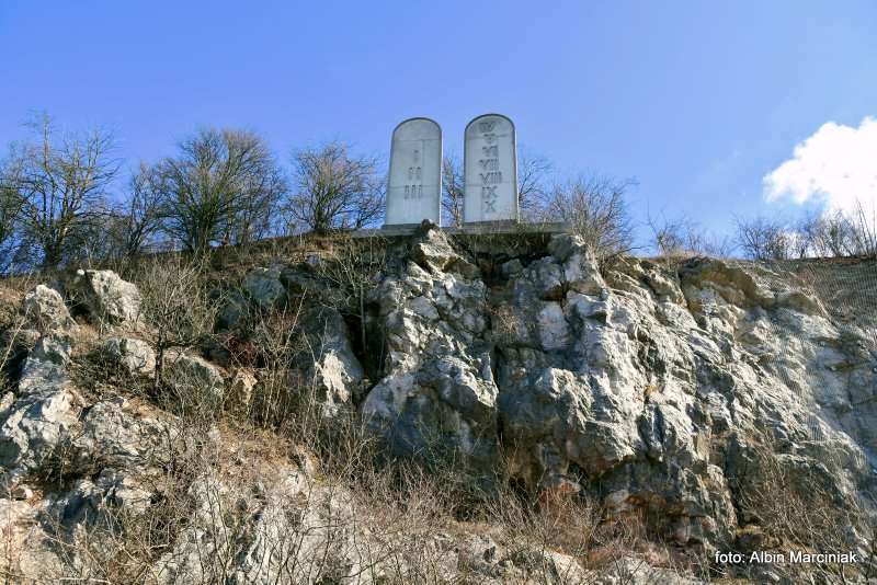 Rezerwat przyrody Kadzielnia Kielce 15