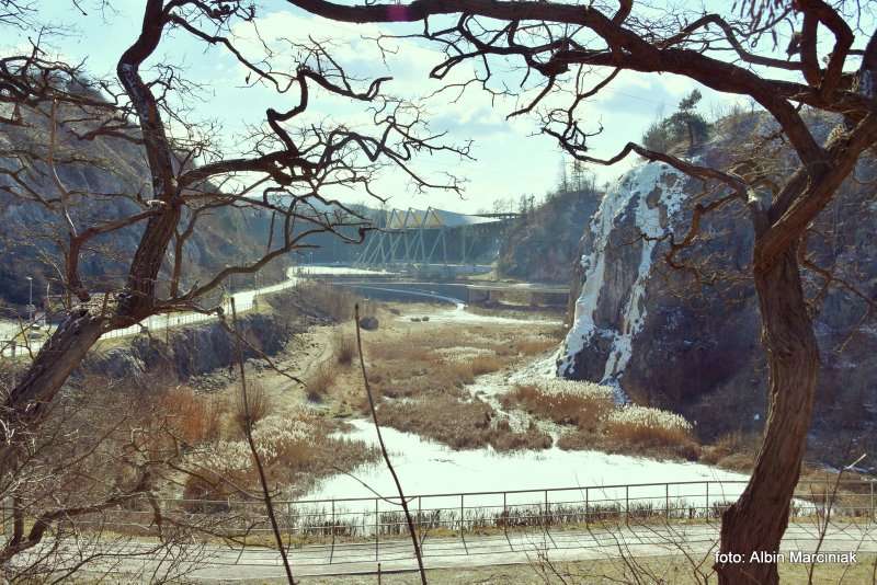 Rezerwat przyrody Kadzielnia Kielce 18