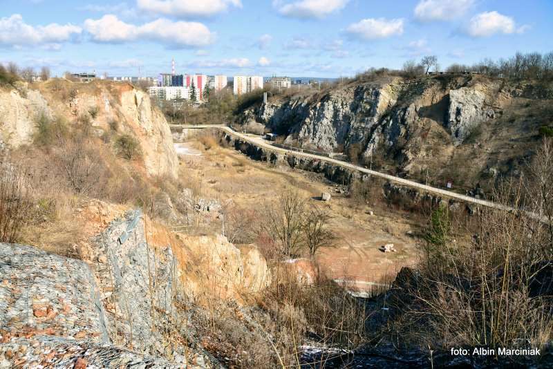 Rezerwat przyrody Kadzielnia Kielce 2