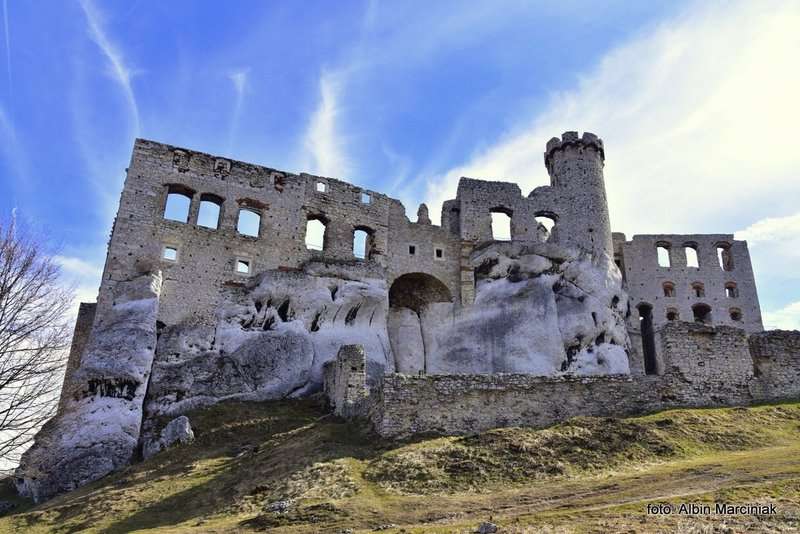 Zamek Ogrodzieniec 1