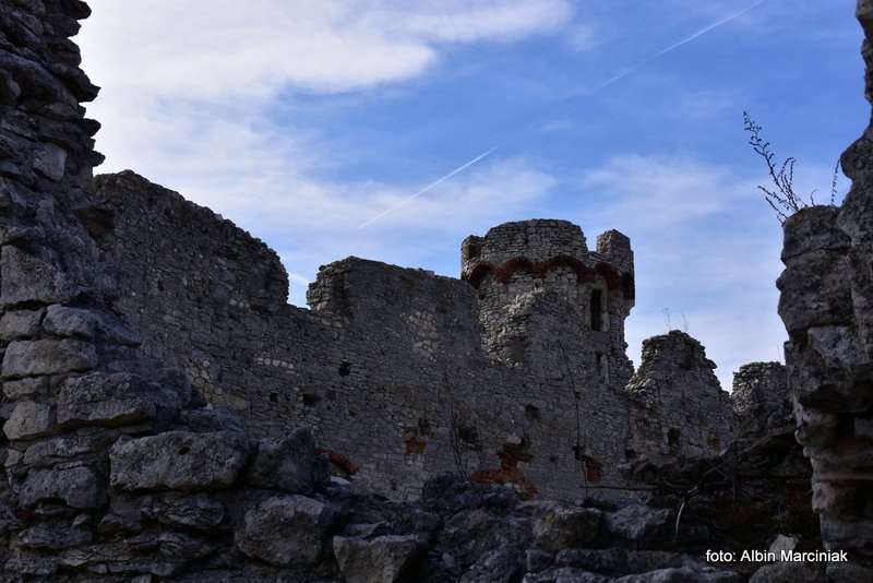 Zamek Ogrodzieniec 16