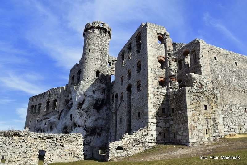 Zamek Ogrodzieniec 2