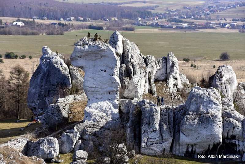 Zamek Ogrodzieniec 28