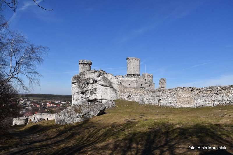 Zamek Ogrodzieniec 42