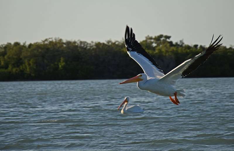 Meksyk Iwona Marczak 1