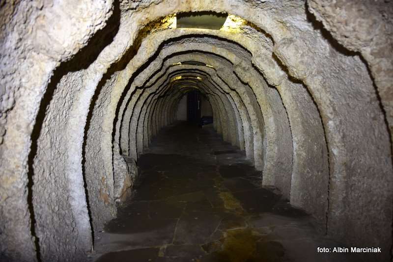 Jaskinia Raj Chęciny 6 stycznia 2019 2