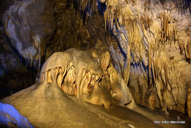 Jaskinia Raj Chęciny 6 stycznia 2019 28