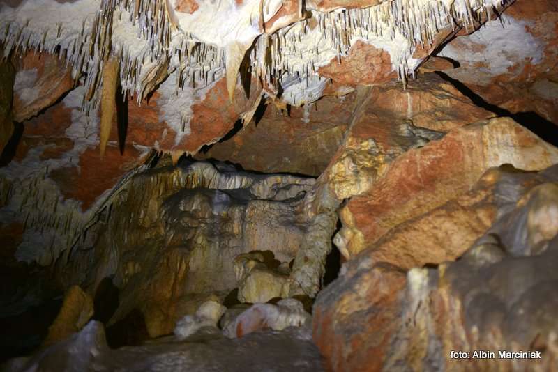 Jaskinia Raj Chęciny 6 stycznia 2019 32