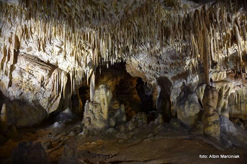 Jaskinia Raj Chęciny 6 stycznia 2019 52