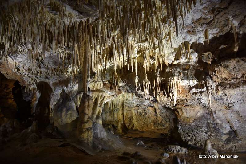 Jaskinia Raj Chęciny 6 stycznia 2019 53