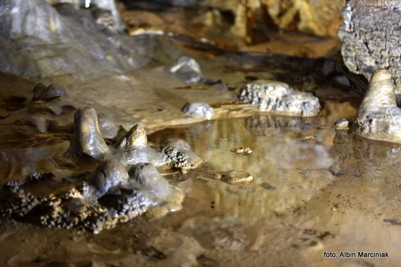 Jaskinia Raj Chęciny 6 stycznia 2019 56