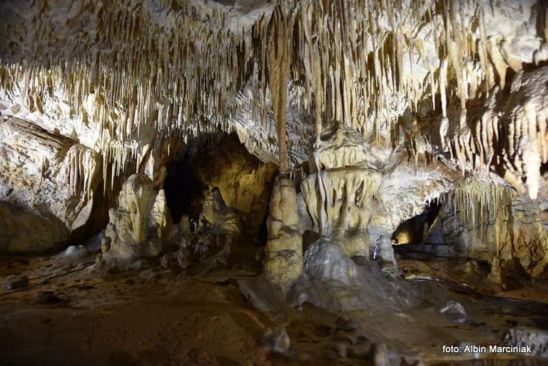 Jaskinia Raj Chęciny 6 stycznia 2019 57