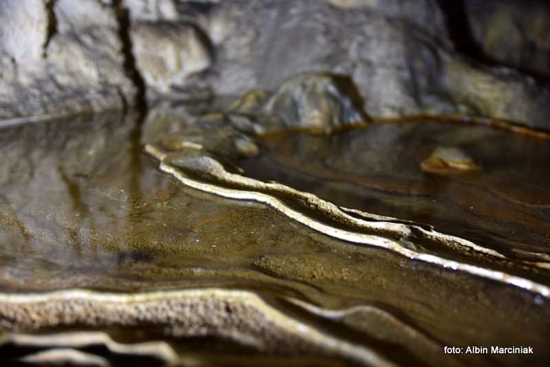 Jaskinia Raj Chęciny 6 stycznia 2019 59