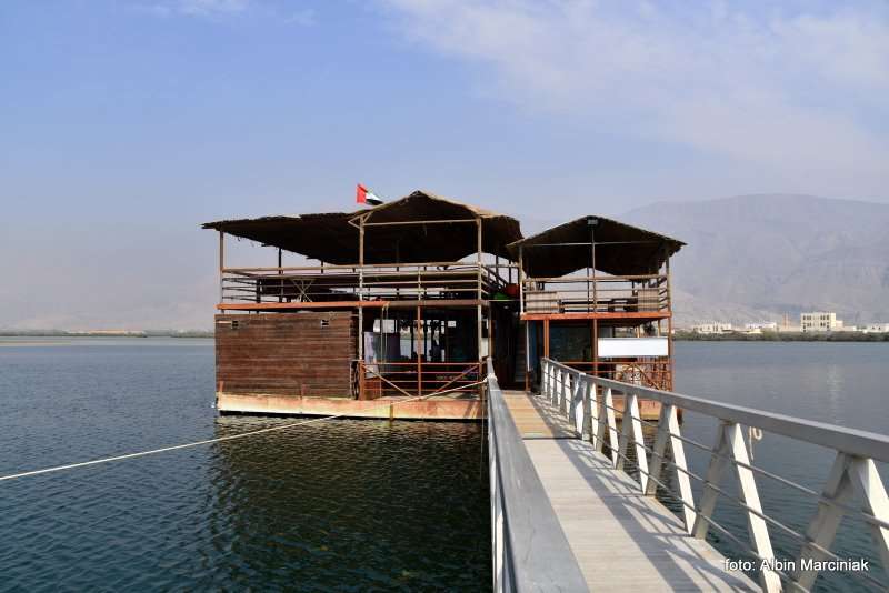 Farma Pereł w Ras al Khaimah w ZEA 11