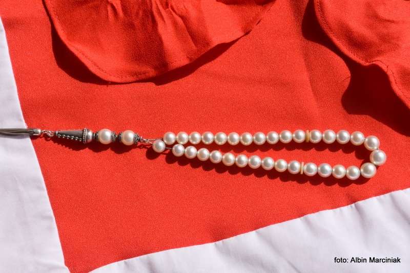 Farma Pereł w Ras al Khaimah w ZEA 20