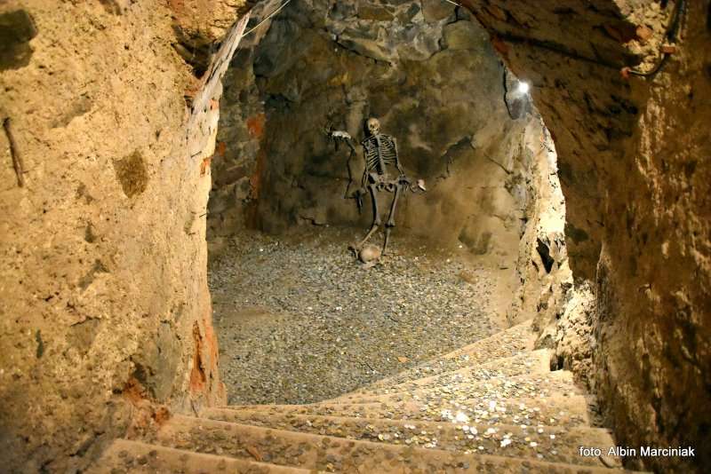 Zamek Grodno Zagorze Slaskie 10