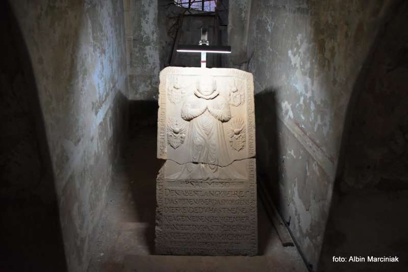 Zamek Grodno Zagorze Slaskie 12