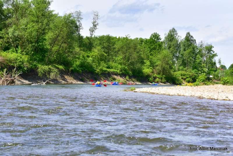 kajaki spływ na skawie 18