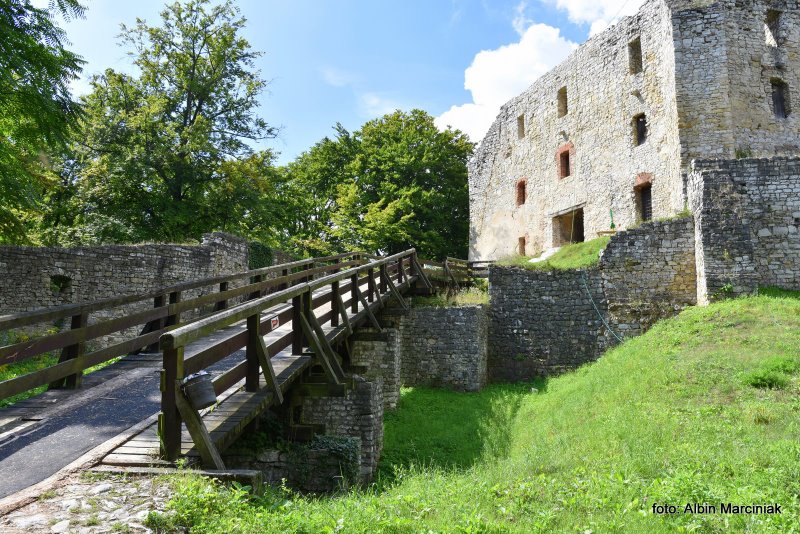 zamek lipowiec w wygielzowie