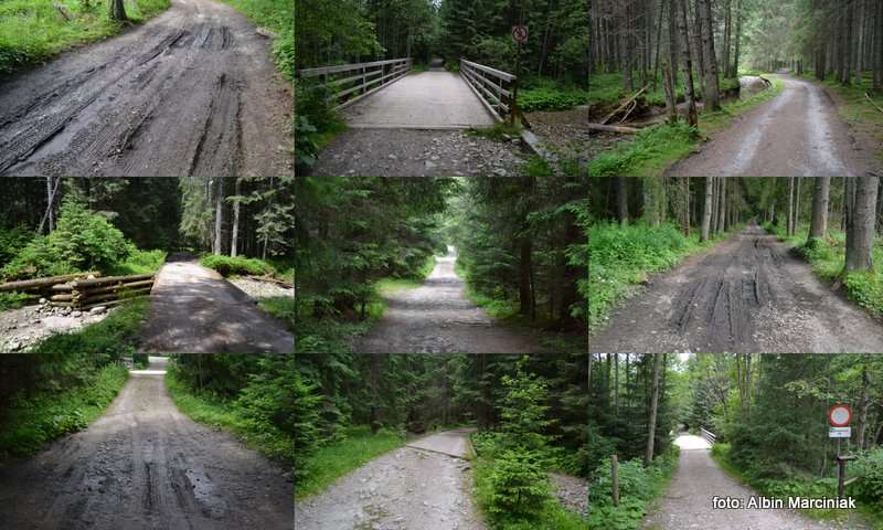 1 Tatry lipiec Szpiglasowy W