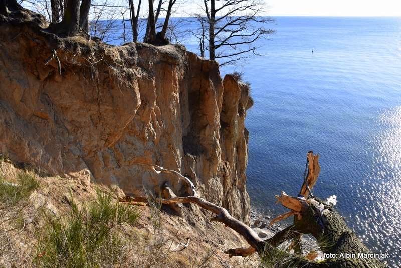 Klif Orłowski w Gdyni urwisko nad Bałtykiem 11