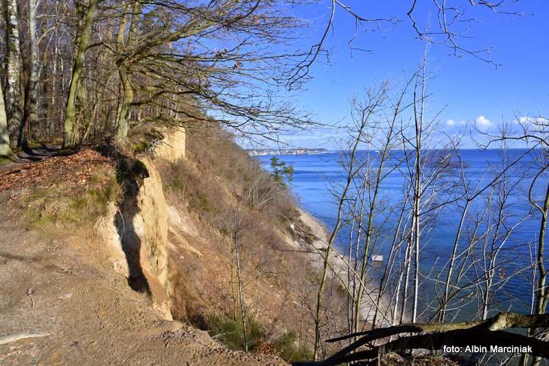 Klif Orłowski w Gdyni urwisko nad Bałtykiem 13