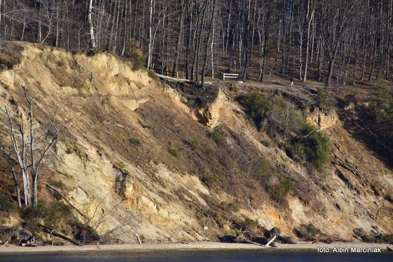Klif Orłowski w Gdyni urwisko nad Bałtykiem 2