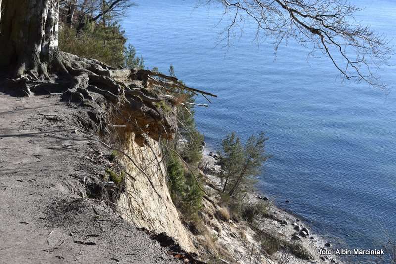 Klif Orłowski w Gdyni urwisko nad Bałtykiem 5